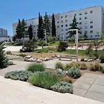 Nova *
